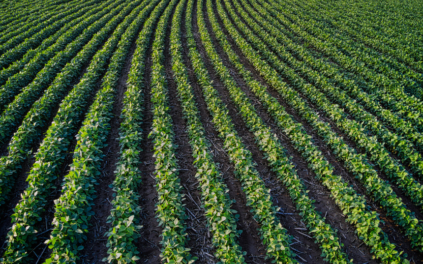 Imagem Agro